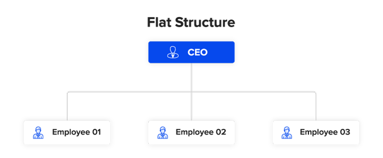 flat structure