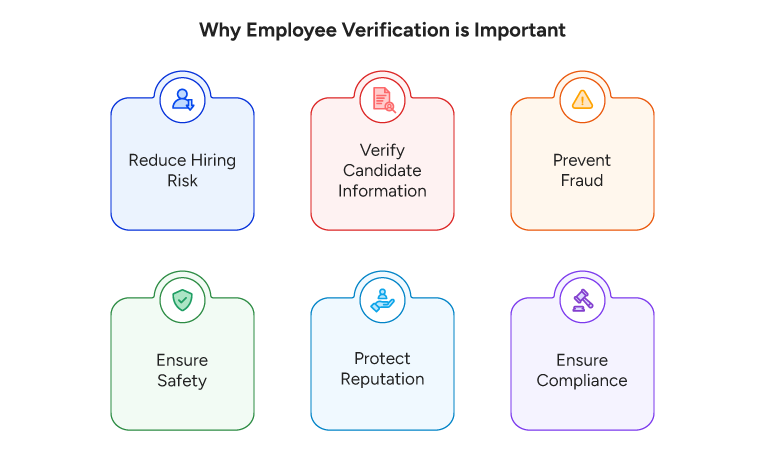 Why Employee Verification is Important