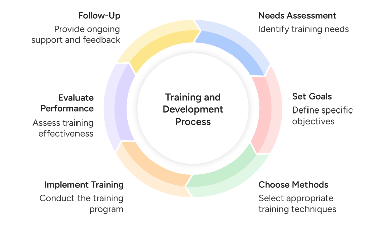 Steps for the Training and Development Process