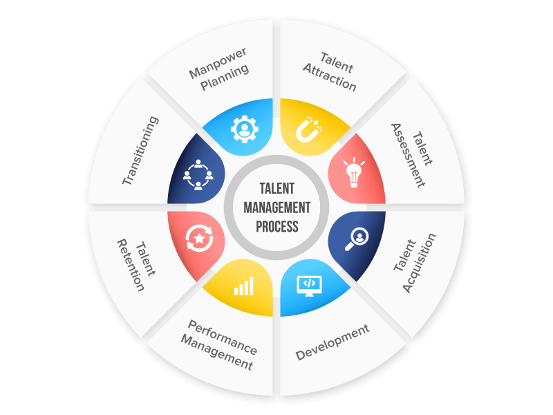 What Is Talent Management Process - The Workflow, Strategy And Model